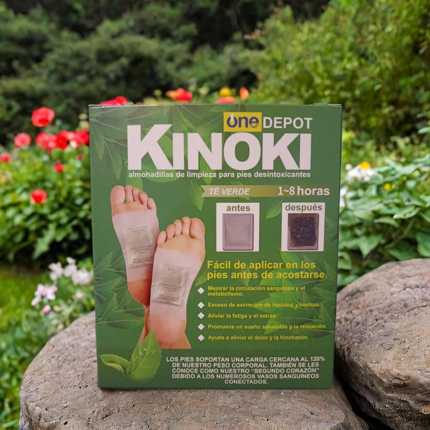 Pack DE 10 Parches Desintoxicante Kinoki